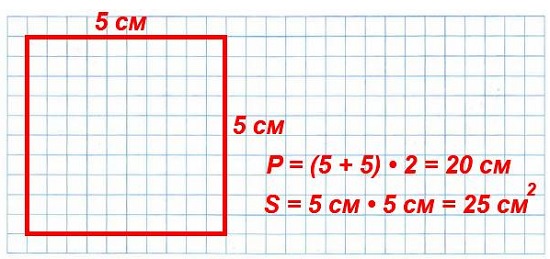 рабочая тетрадь 1 часть математика 3 класс 176. Начерти квадрат, периметр которого равен 20 см. Найди его площадь. 