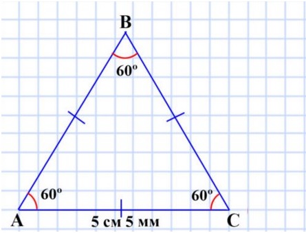 математика 5 класс номер 350 8) сторона АС равна 5 см 5 мм, а углы ВАС и BCA равны по 60°